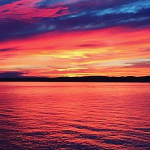 Meet your Posher, Hyla